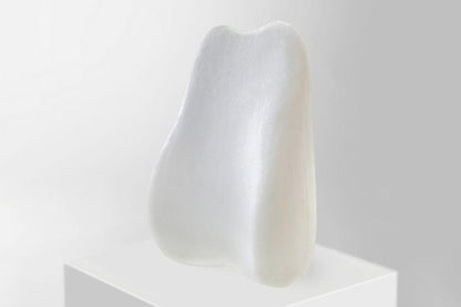 HexoSeat™ Ergonomic Lumbar & Seat Cushion Set