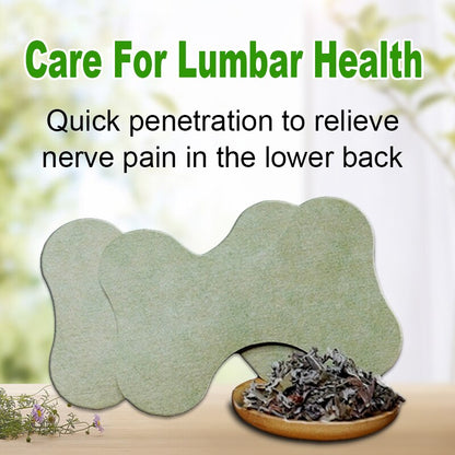 HexoPatch™ Natural Back Pain Relief Kit